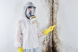 Best Commercial Mold Inspection  in West Simsbury, CT